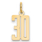 14k Yellow Gold Number 30 Pendant Charm, Bold Polished Milestone Jewelry for Women and Men