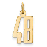 14k Yellow Gold Number 48 Pendant, Sports Jersey Charm with Polished Finish