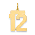 Medium Polished Number 12 Charm Pendant in Real 14k Yellow Gold