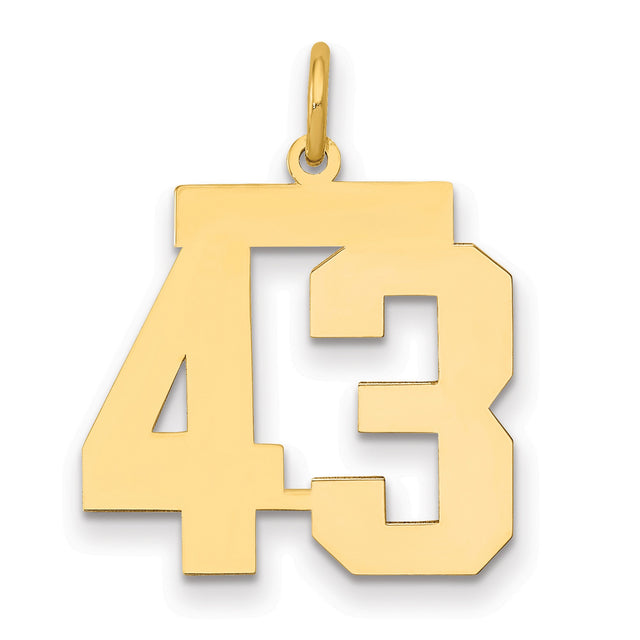 Medium Polished Number 43 Charm Pendant in Real 14k Yellow Gold