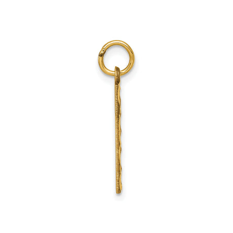 14k Yellow Gold Number 1 Pendant Charm with Textured Center and Diamond Cut Border
