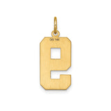 14k Yellow Gold Number 9 Pendant with Textured Center and Polished Edges
