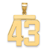 Large Polished Number 43 Charm Pendant in Real 14k Yellow Gold