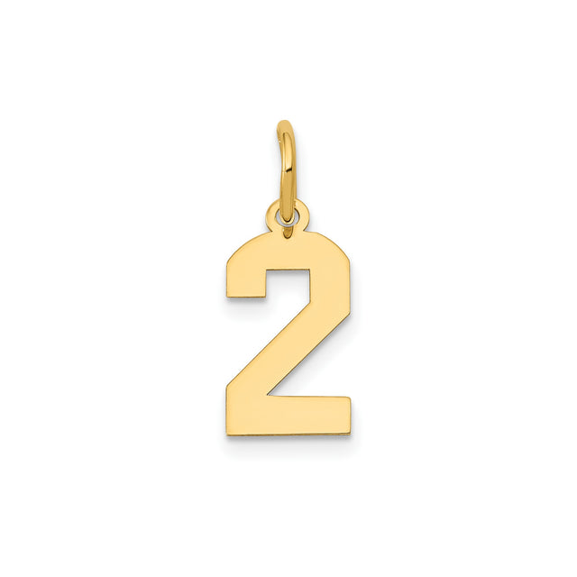 14k Yellow Gold Number 2 Pendant Charm, Polished Numeric Symbol for Necklace or Bracelet