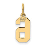14k Yellow Gold Number 6 Pendant Charm, Bold Block Font, Unisex Jewelry