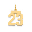 14k Yellow Gold Number 23 Pendant, Bold Jersey Style Sports Charm for Men and Unisex
