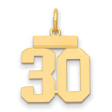 Small Polished Number 30 Charm Pendant in Real 14k Yellow Gold