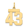 Small Polished Number 43 Charm Pendant in Real 14k Yellow Gold