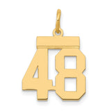 14k Yellow Gold Number 48 Pendant, Polished Sports Jersey Style Charm for Men or Unisex Wear