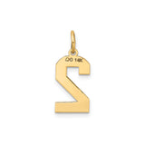 14k Yellow Gold Number 2 Pendant Charm, Bold Block Style with Polished Textured Finish