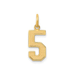 14k Yellow Gold Number Five Charm Pendant with Textured Satin Finish