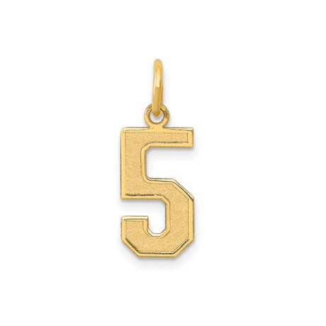 14k Yellow Gold Number Five Charm Pendant with Textured Satin Finish