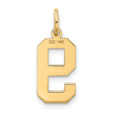 14k Yellow Gold Number 9 Pendant Charm, Textured Satin Finish Block Style