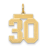 Medium Satin Number 30 Charm Pendant in Real 14k Yellow Gold