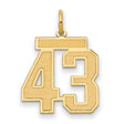 Medium Satin Number 43 Charm Pendant in Real 14k Yellow Gold