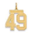 Medium Satin Number 49 Charm Pendant in Real 14k Yellow Gold