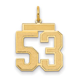 Medium Satin Number 53 Charm Pendant in Real 14k Yellow Gold