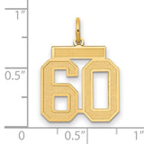 Medium Satin Number 60 Charm Pendant in Real 14k Yellow Gold