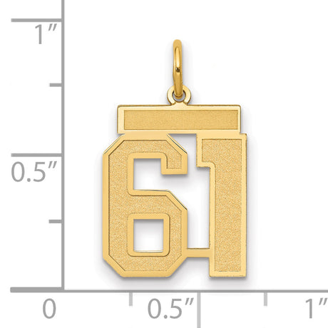 14k Yellow Gold Number 61 Pendant, Polished and Textured Sports Charm for Men and Women