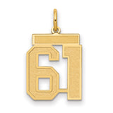 14k Yellow Gold Number 61 Pendant, Polished and Textured Sports Charm for Men and Women
