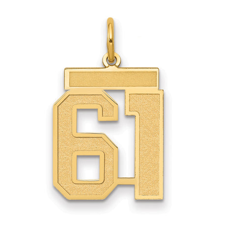 14k Yellow Gold Number 61 Pendant, Polished and Textured Sports Charm for Men and Women