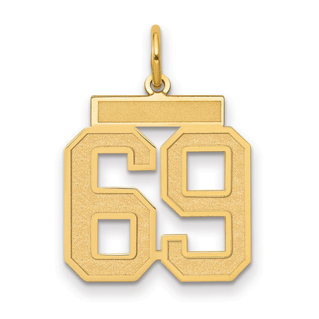Medium Satin Number 69 Charm Pendant in Real 14k Yellow Gold