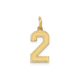 14k Yellow Gold Number 2 Pendant Charm, Polished Textured Finish, Unisex Jewelry