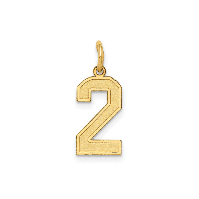 14k Yellow Gold Number 2 Pendant Charm, Polished Textured Finish, Unisex Jewelry