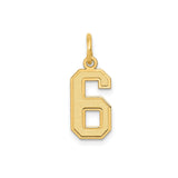 14k Yellow Gold Number 6 Charm Pendant with Textured Finish and Polished Edges