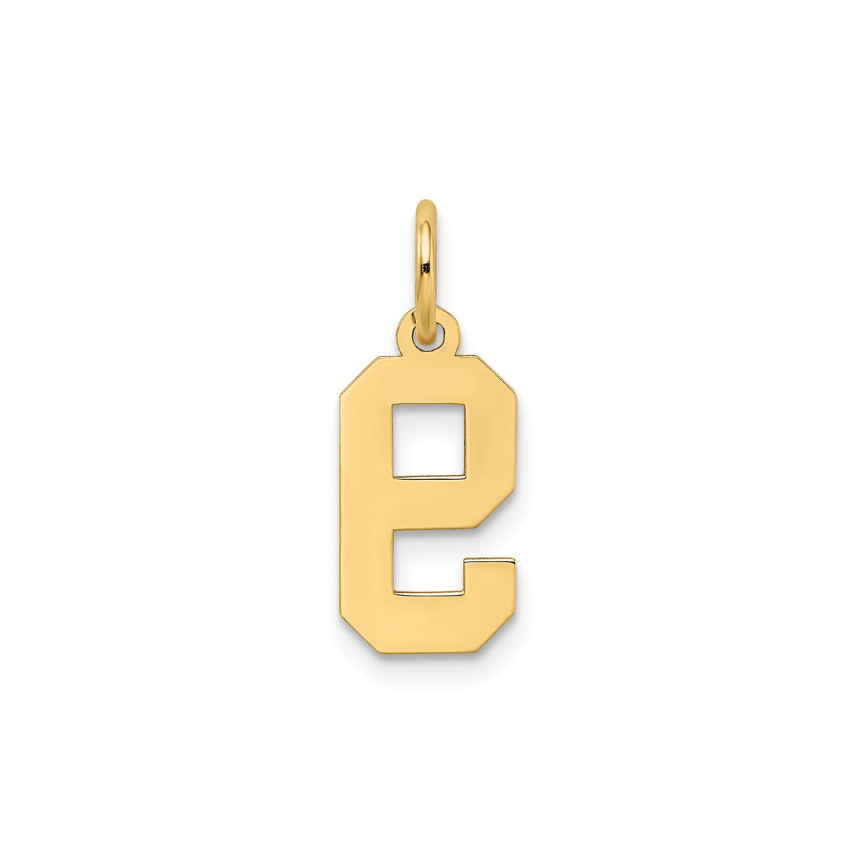 14k Yellow Gold Number 9 Pendant with Textured Satin Finish and Polished Outline
