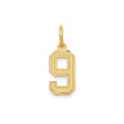 14k Yellow Gold Number 9 Pendant with Textured Satin Finish and Polished Outline