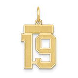 14k Yellow Gold Pendant, Number 19 Varsity Style Charm, Unisex Sports Milestone Jewelry