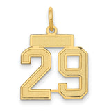14k Yellow Gold Number 29 Pendant Charm, Textured Block Style for Men or Women