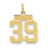 Small Satin Number 39 Charm Pendant in Real 14k Yellow Gold