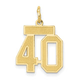 14k Yellow Gold Pendant Charm, Number 40 Polished and Textured Finish, Birthday or Anniversary