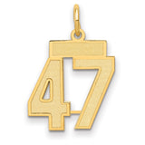 14k Yellow Gold Number 47 Pendant Charm, Bold Textured Sports Design for Men or Unisex Wear