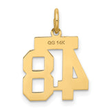 Small Satin Number 48 Charm Pendant in Real 14k Yellow Gold