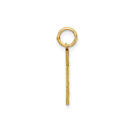 14k Yellow Gold Number 1 Pendant Charm with Textured Center and Polished Border
