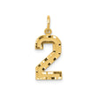 14k Yellow Gold Number 2 Pendant Charm with Textured and Polished Finish