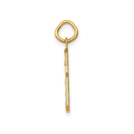 14k Yellow Gold Number 6 Pendant Charm, Textured Block Style, Unisex Jewelry
