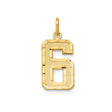 14k Yellow Gold Number 6 Pendant Charm, Textured Block Style, Unisex Jewelry
