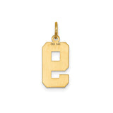 14k Yellow Gold Number 9 Pendant Charm with Textured Center and Polished Edges