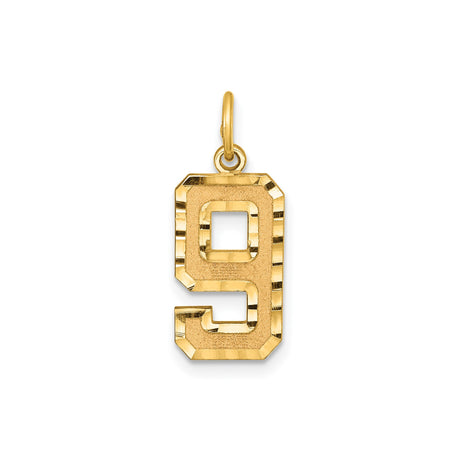 14k Yellow Gold Number 9 Pendant Charm with Textured Center and Polished Edges