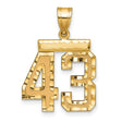 Medium Diamond-cut Number 43 Charm Pendant in Real 14k Yellow Gold
