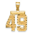 Medium Diamond-cut Number 49 Charm Pendant in Real 14k Yellow Gold