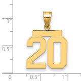 Medium Polished Number 20 Charm Pendant in Real 14k Yellow Gold