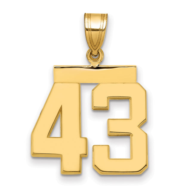 Medium Polished Number 43 Charm Pendant in Real 14k Yellow Gold