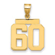 Medium Polished Number 60 Charm Pendant in Real 14k Yellow Gold