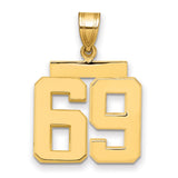 Medium Polished Number 69 Charm Pendant in Real 14k Yellow Gold