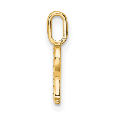 10k Yellow Gold Pendant with Diamond Accent, Letter P Initial Charm for Women
